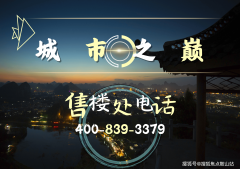 卑享华发金融城横琴玺IP定